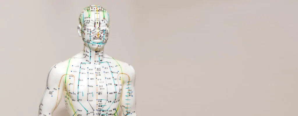 How_Acupuncture_Works_Understanding_The_Science_Behind_It.